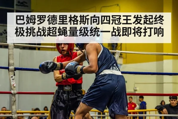 巴姆罗德里格斯向四冠王发起终极挑战超蝇量级统一战即将打响